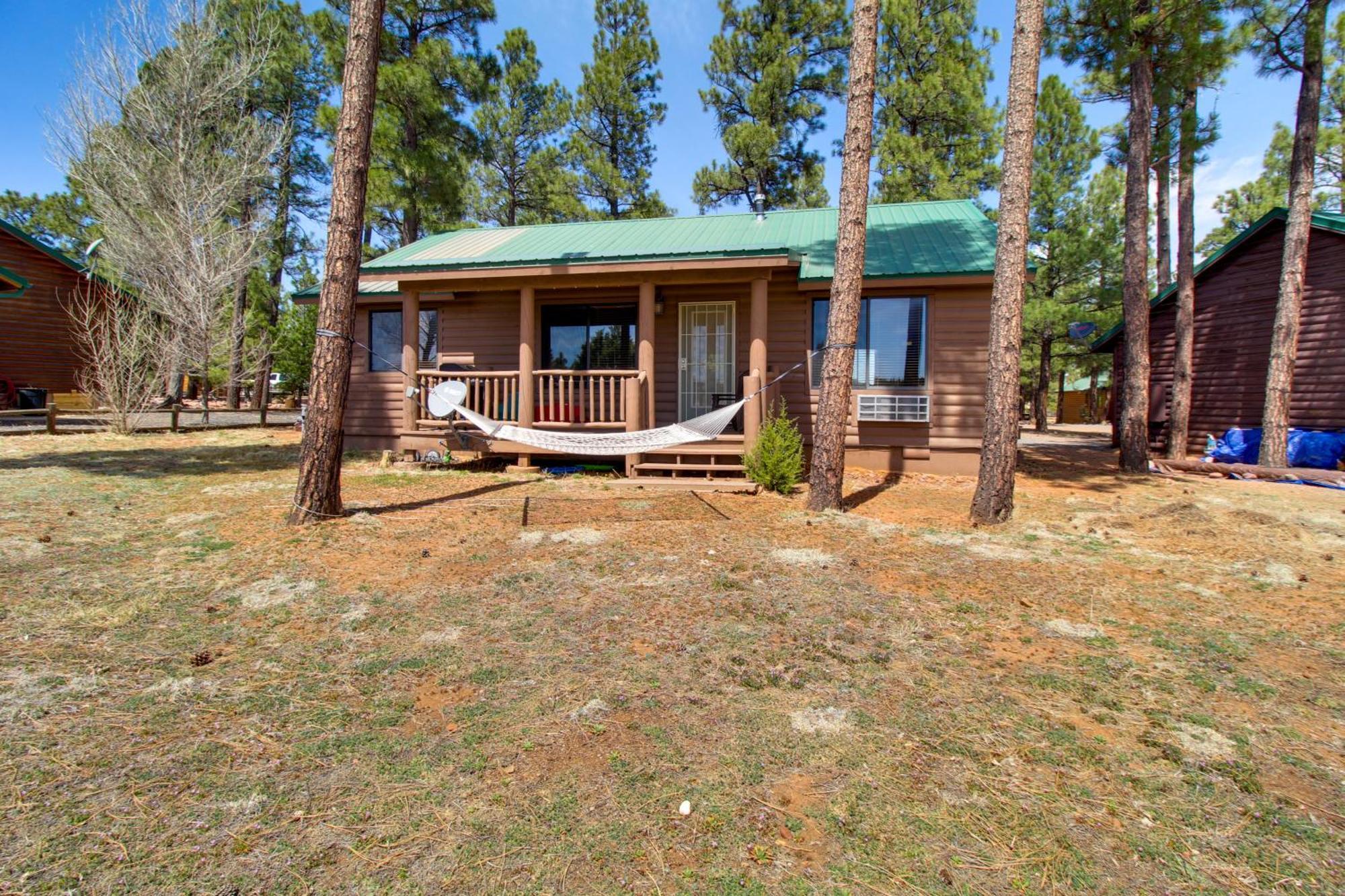 Overgaard Cabin Near Sitgreaves National Forest! Zewnętrze zdjęcie